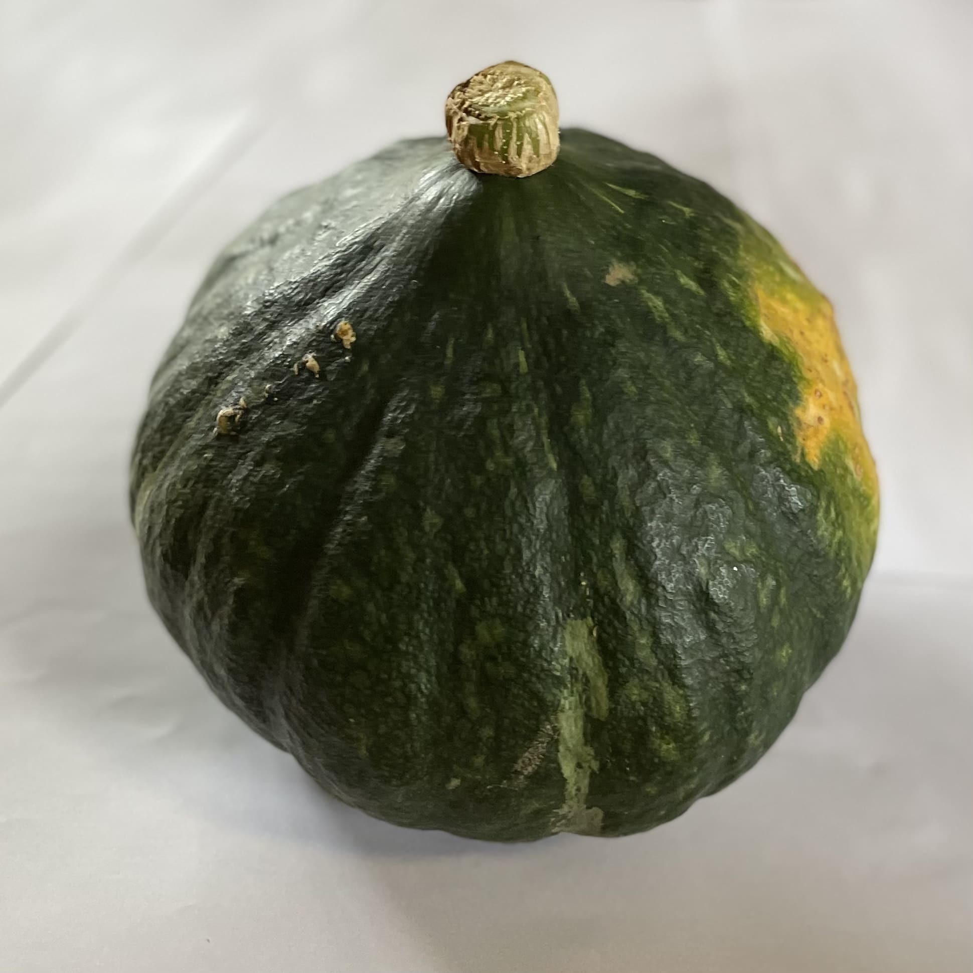 佐渡小木産無農薬「かぼちゃ」1.85~2.15kg